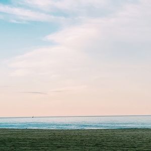 Meet your Posher, Riley